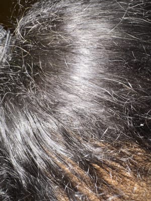 View Gallery Image #3