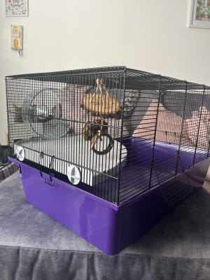 Pets at Home Wire Hamster and Mouse Cage Purple X Large Pets At Home