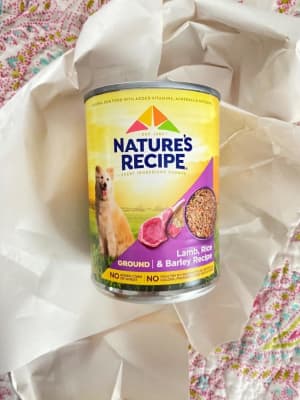 Ground lamb dog food recipe clearance