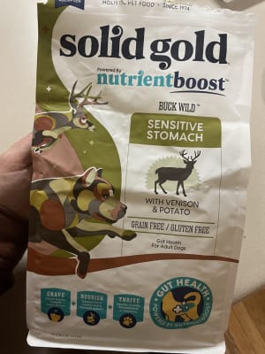 Solid gold buck wild on sale