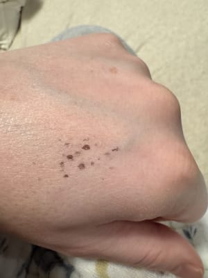 View Gallery Image #6