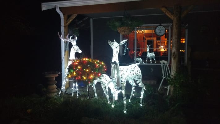 Family Reindeer Led Christmas Decor Outdoor Lights Mesh Xmas Silver Cold White 