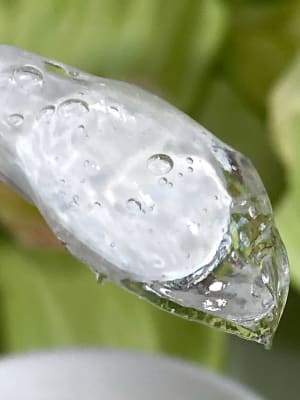 View Gallery Image #5