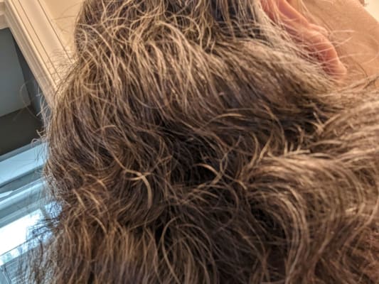 View Gallery Image #7