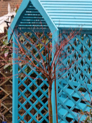 Cuprinol beach blue sale