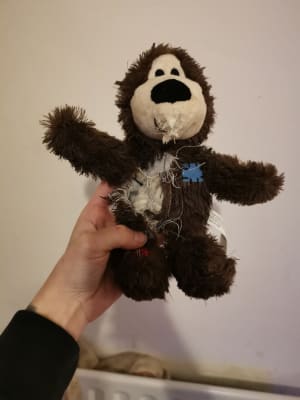 Kong Wild Knots Bear Dog Toy Pets At Home