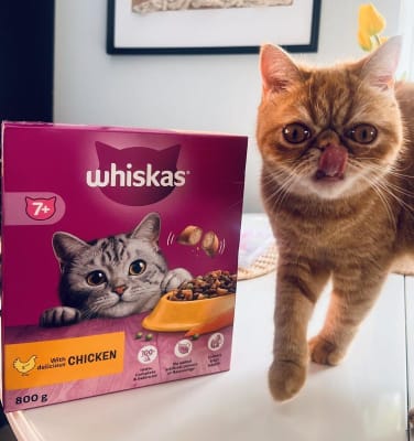Whiskas 7 Chicken Dry Adult Cat Food 1.9kg Pets At Home