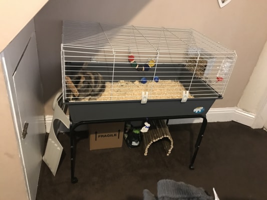 Guinea pig cage on sale stand