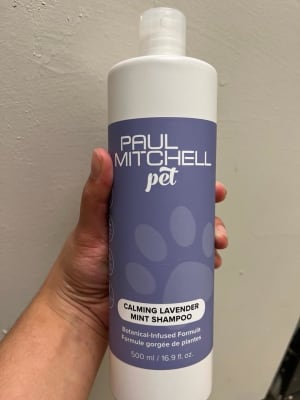 View Gallery Image #1