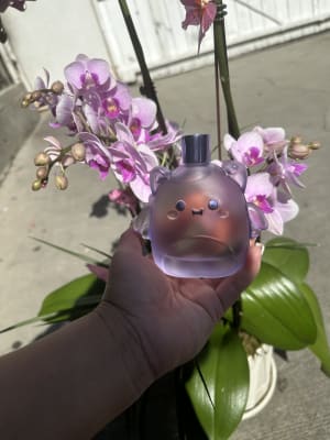 View Gallery Image #5