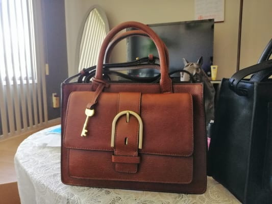 Fossil Wiley Tote Handbag 2024 www.alhudapk