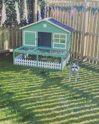 Blossom guinea pig sales hutch