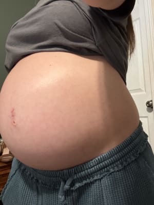 View Gallery Image #4
