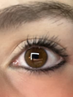 View Gallery Image #4