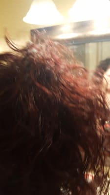 View Gallery Image #7