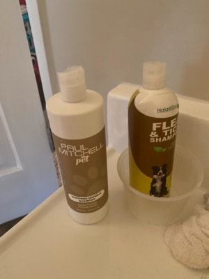 View Gallery Image #3