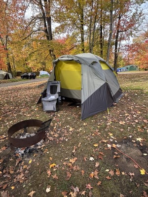 Wawona 4 footprint outlet