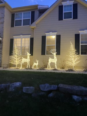 7' Lighted Birch Tree with 280-LED Warm Lights, Steady or Twinkle Func –  Harvest of Barnstable