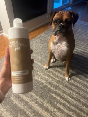 View Gallery Image #10