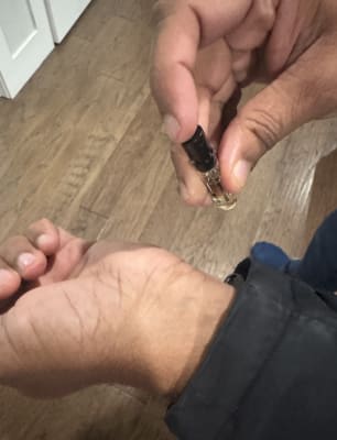 View Gallery Image #7