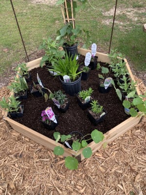 pollinator garden bed hexagonal cedar bed gardeners com