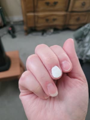 View Gallery Image #12