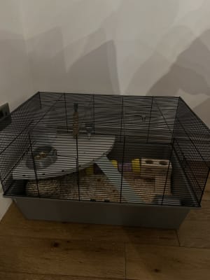 Pets at home extra large sale hamster cage