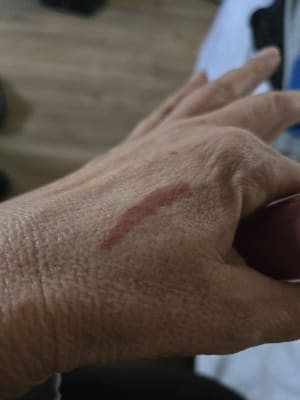 View Gallery Image #4