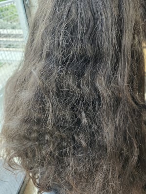 View Gallery Image #3