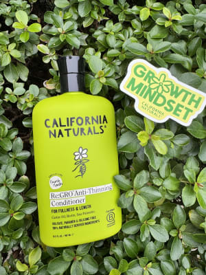 View Gallery Image #2