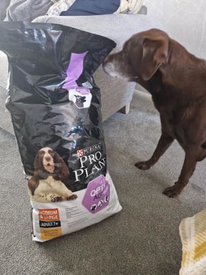 Pets at home purina dog food top