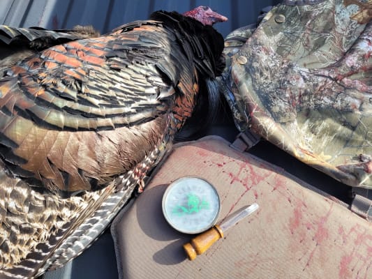 MidwayUSA Full Strut Turkey Vest Mossy Oak Original Bottomland XL/2XL