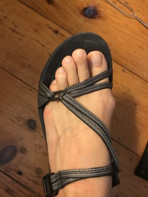 Teva zirra discontinued sale