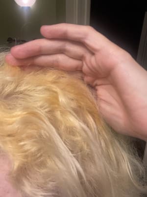 View Gallery Image #1