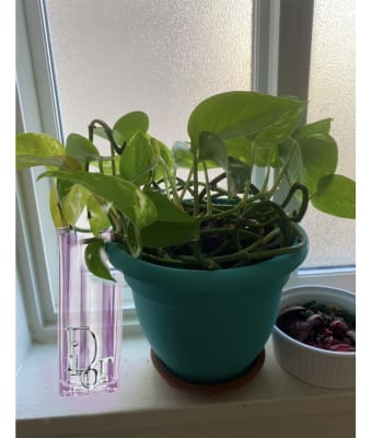 View Gallery Image #10