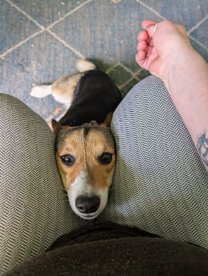 View Gallery Image #7