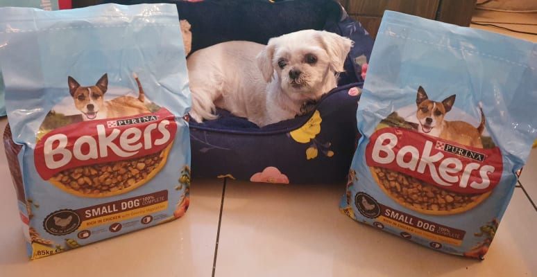 Bakers small shop dog chicken