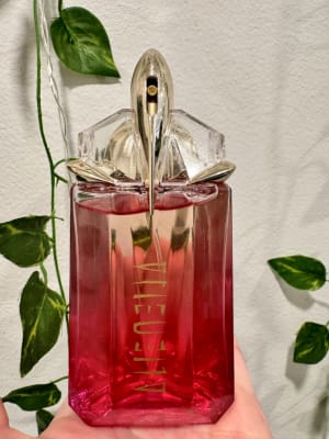 View Gallery Image #1