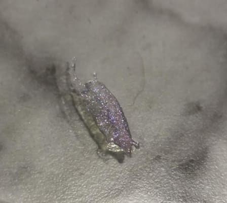 View Gallery Image #8