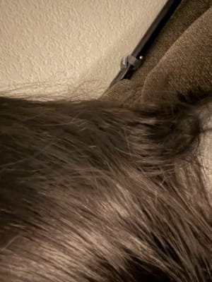 View Gallery Image #2