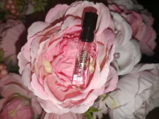 View Gallery Image #11