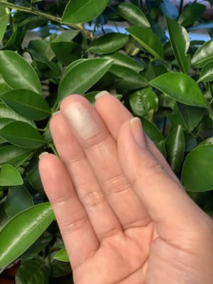 View Gallery Image #9