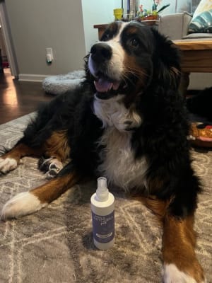 View Gallery Image #4