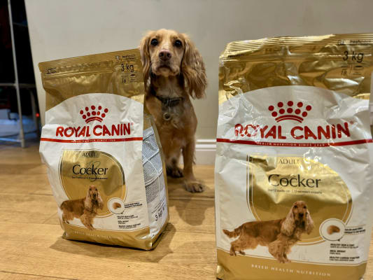 Royal canin shop cocker 12kg