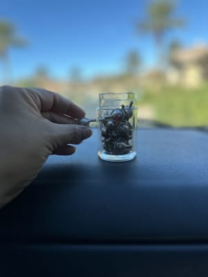 View Gallery Image #16