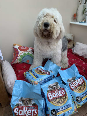 Bakers weight control dog food cheapest best sale
