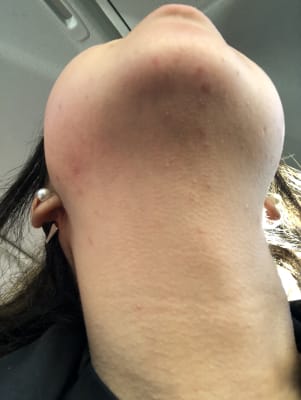 View Gallery Image #3
