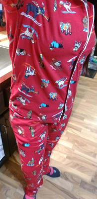 Old navy hotsell christmas dog pajamas