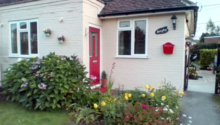 Sandstone store masonry paint