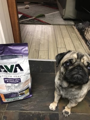 AVA Veterinary Approved Optimum Health Sensitive Skin and Stomach